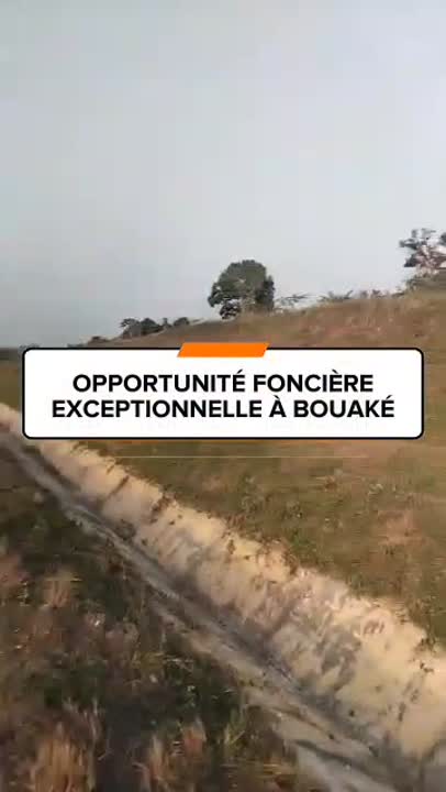 Terrain de 4 hectares en bordure d'autoroute à vendre à Bouaké
