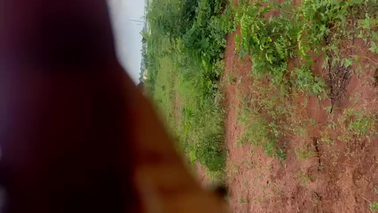 Terrain de 500 m² à vendre à Morofé Botindin (titre foncier)