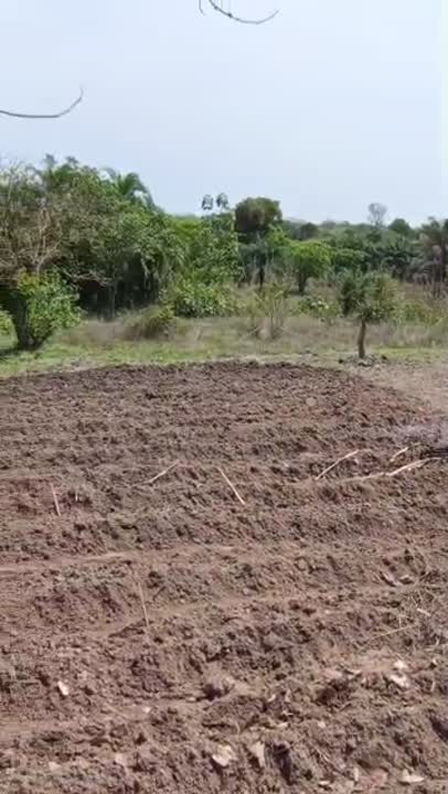 Terrain de 600 m² à vendre à Taligbessou (Kouassiblekro)