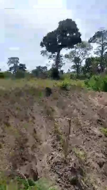 Terrain de 3 hectares à vendre à N'Gattakro (certificat foncier)