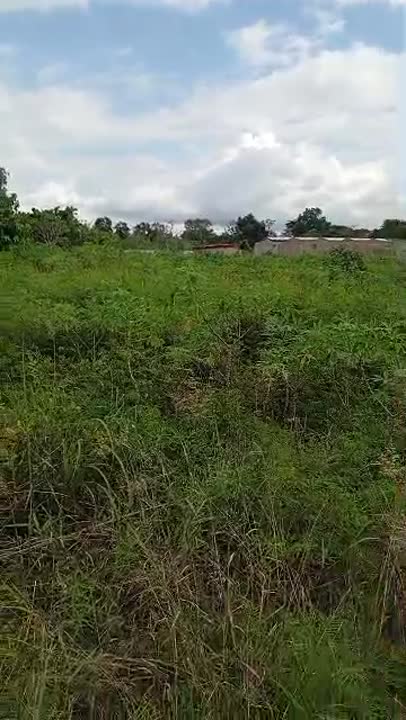 Terrain de 600 m² à vendre à Tchêlêkro