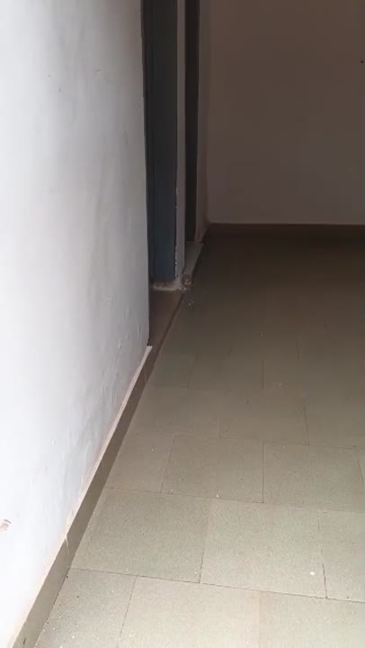Studio à louer près du lycée moderne 1
