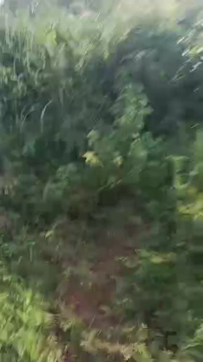 2 terrains de 500 m² à vendre à Gnankoukro