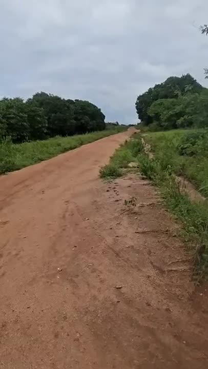 Terrain de 500 m² à vendre à Tchelekro (lotissement Kouadio Kouamekro)