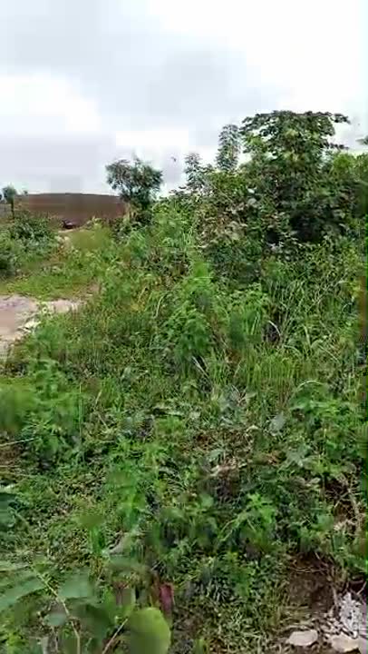 Terrain de 500 m² avec maison inachevée à Konankankro