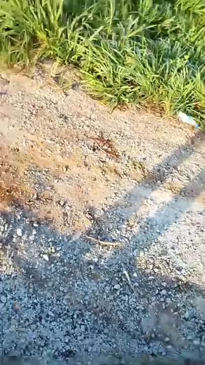 Terrain de 5 hectares à vendre à Zatta (certificat foncier)