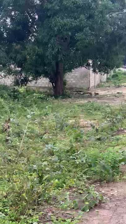 Terrain de 500 m² à vendre à la Cité Rochel
