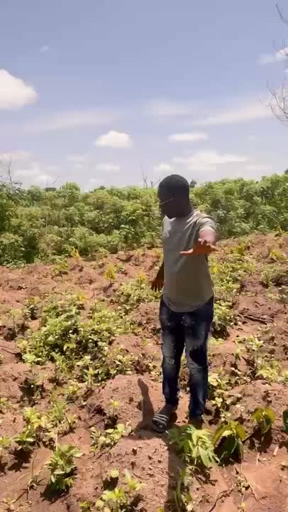 Terrain de 1000 m² à vendre à Tchelekro (attestation villageoise)