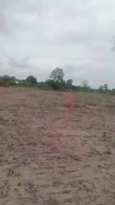 13 lots de 500 m² à vendre à Yamoussoukro (Abakro)