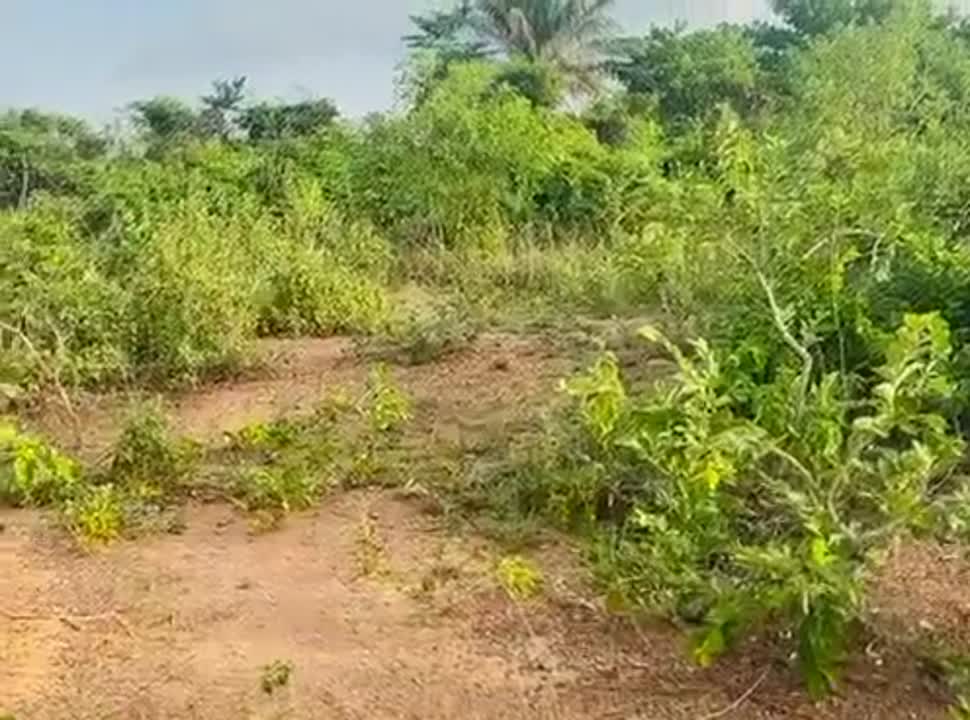 Terrain de 400 m² à vendre près de la cité CIDT