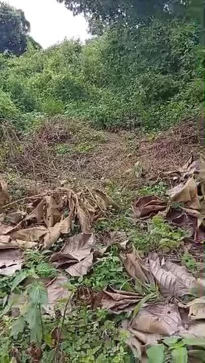 Terrain de 450 m² à vendre à Aminkro extension