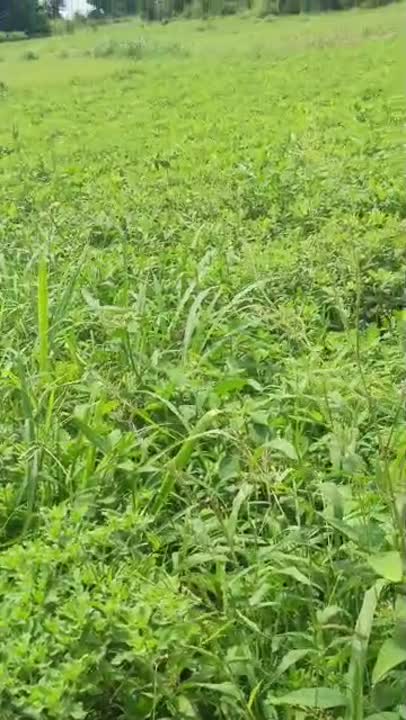 Terrain de 600 m² à vendre à Brobo (attestation villageoise)