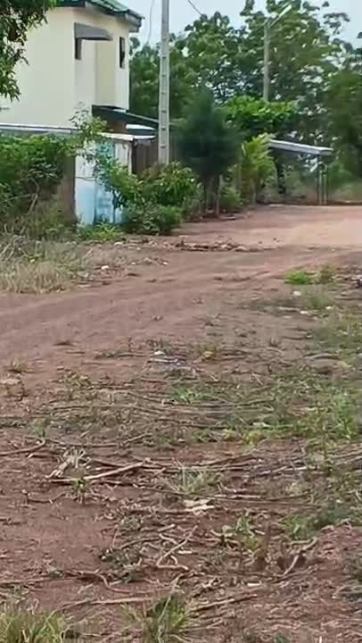 Terrain de 550 m² à vendre à Morofé N'Kloihidjô (ACD disponible)