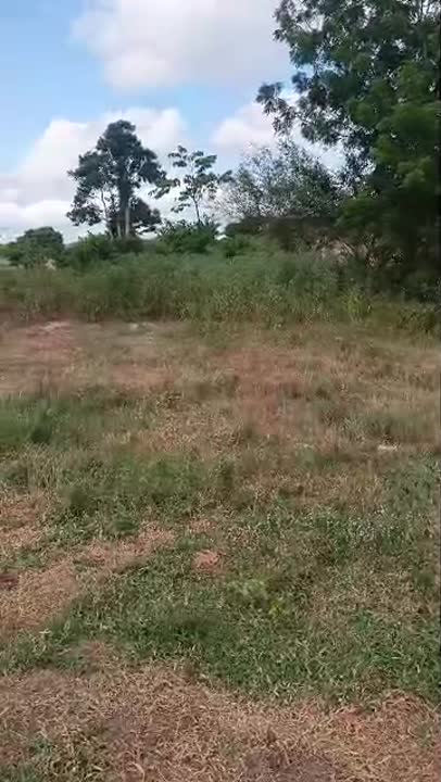 Terrain de 500 m² à vendre à Yamoussoukro (ACD en cours)