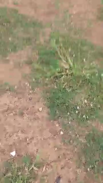 Terrain de 500 m² à vendre à N'cloihidjo (ACD en cours)