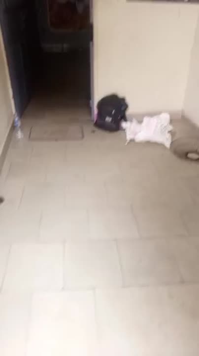 Chambre salon à louer à N'Gattakro