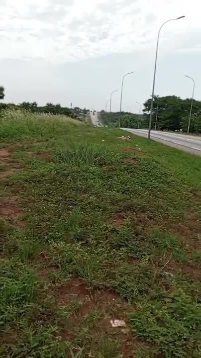 Terrain de 3 hectares à vendre à Abouakoussikro (certificat foncier)