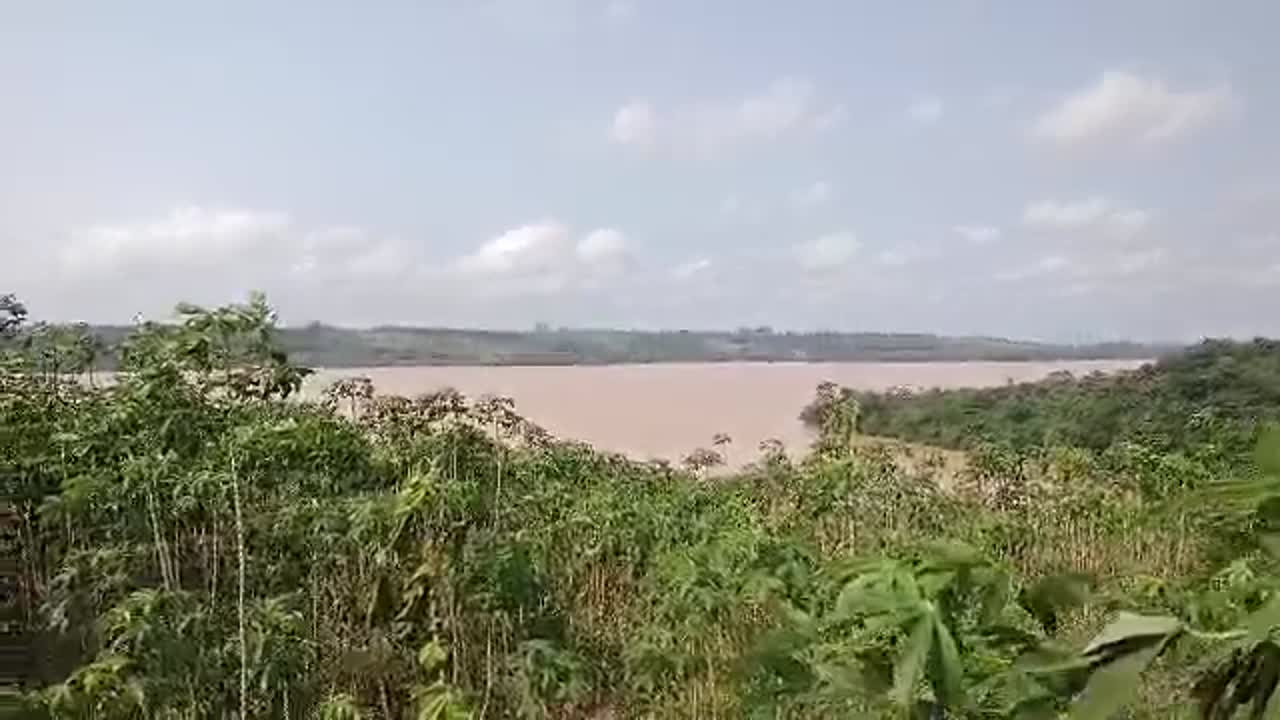 Terrain de 15 hectares à vendre à Akandjé (ACD disponible)