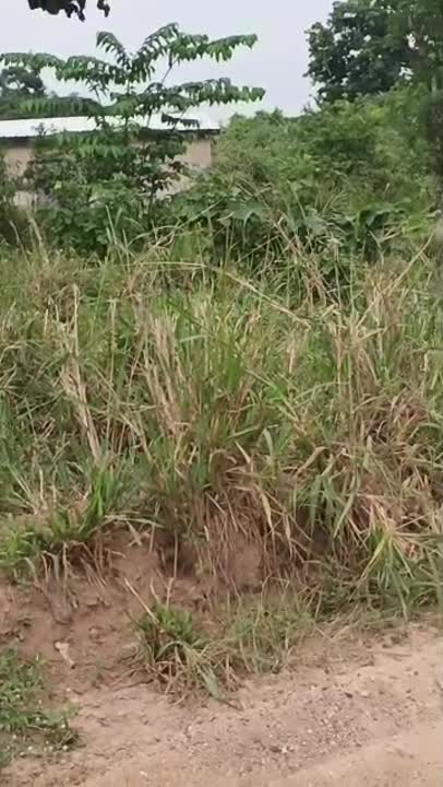Terrain de 500 m² à vendre à Abakro Résidentielle