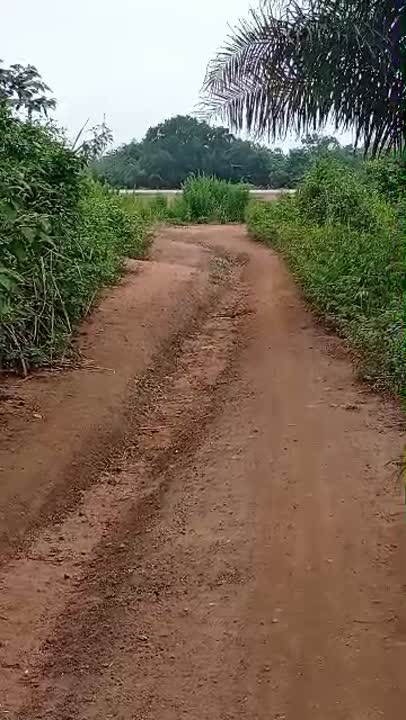 Terrain de 500 m² à vendre à Lokanou Résidentiel