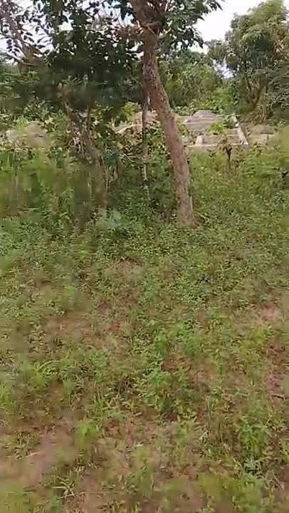 Terrain de 600 m² à vendre à Allokokro