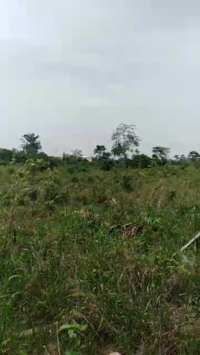 Terrain de 437 m² à vendre à Yamoussoukro (CF disponible)