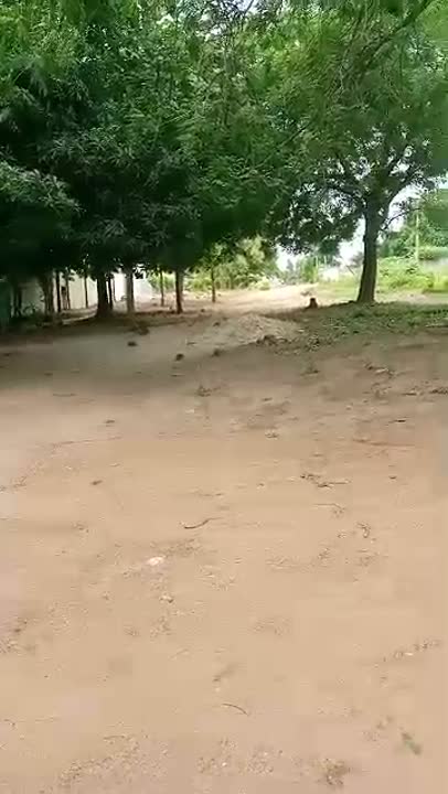 Terrain de 2000 m² à vendre au Quartier Municipal