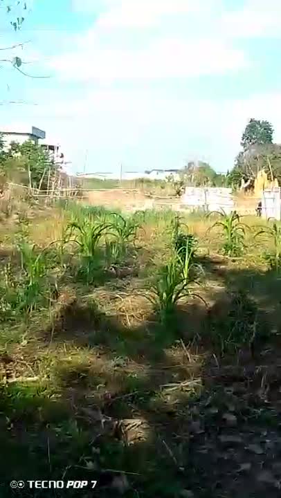 Terrain de 842 m² à vendre à Morofé (ACD disponible)