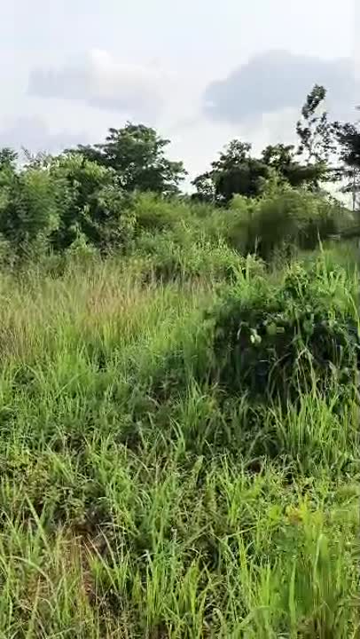 Terrain de 563 m² à vendre à Seman