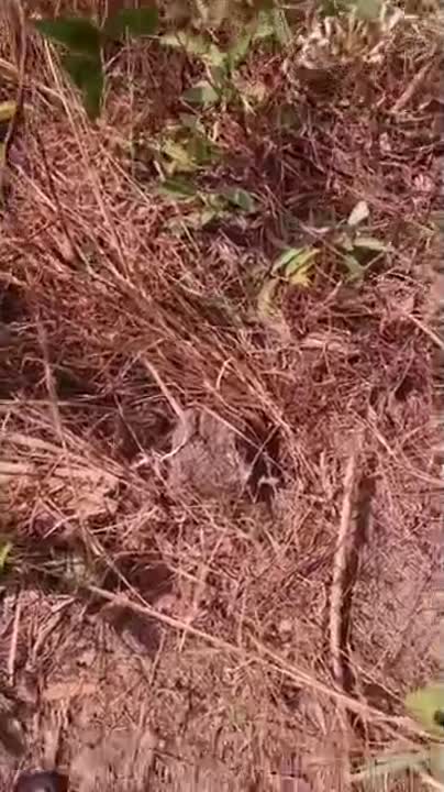 2 terrains collés à vendre à Okaville (ACD disponible)