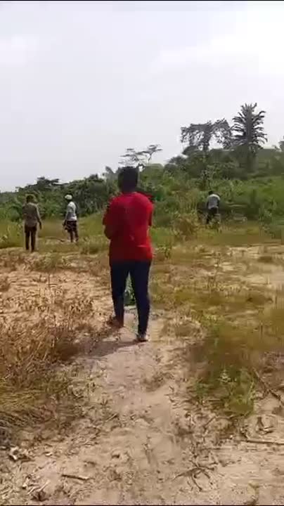 Terrain de 500 m² à vendre à Adzopé (Zodji et Miadzin)