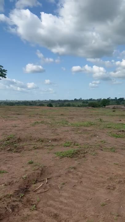 Projets fonciers à Yamoussoukro/Lolobo