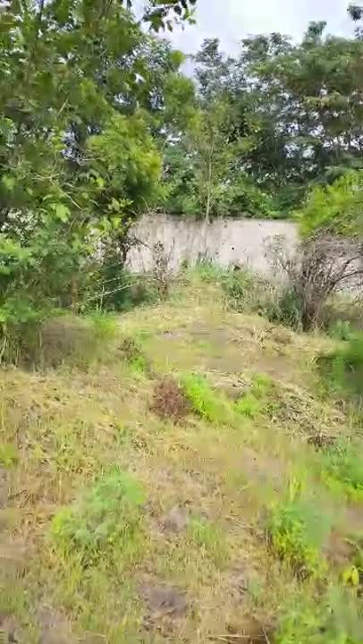 Terrain de 600 m² à vendre à Yamoussoukro N'Dènou Bodan (ACD disponible)