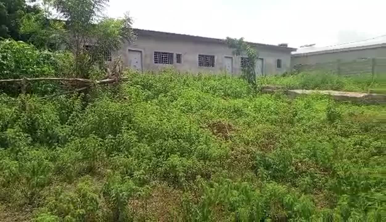 Terrain de 500 m² à vendre à Yamoussoukro (ACD disponible)