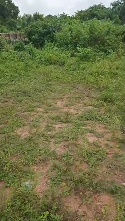 Terrain de 600 m² à vendre à N'Kazakro (N'Dakro)