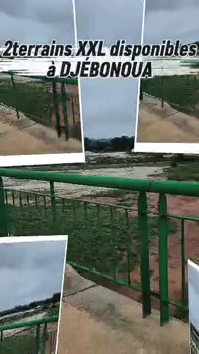 2 terrains XXL à vendre à N'Djébonoua