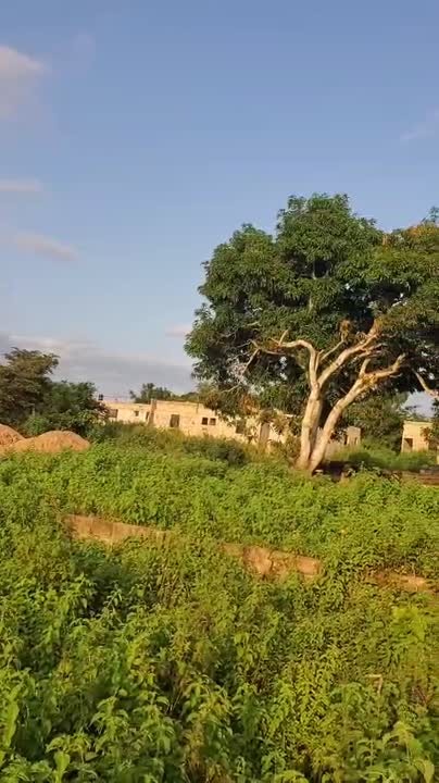 Terrain de 600 m² à vendre à N'Dakro (approuvé)