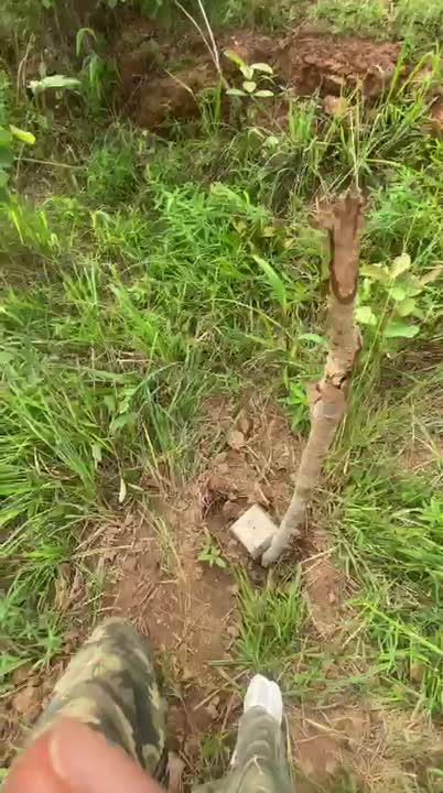 Terrain de 500 m² à vendre à Brobo (près de la voie bitumée)