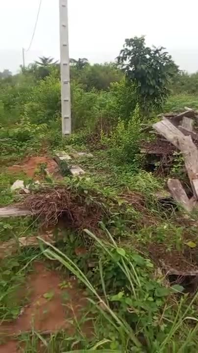 Terrain de 800 m² à vendre à Yamoussoukro PKOUSSOUSSOU (ACD disponible)