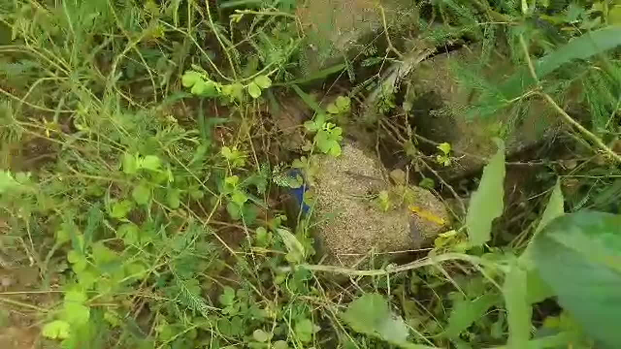 Terrain de 600 m² à vendre à Bouaké Site CIDT