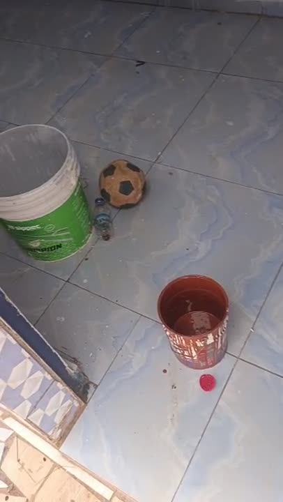 2 pièces à louer près de l'hôpital des fous