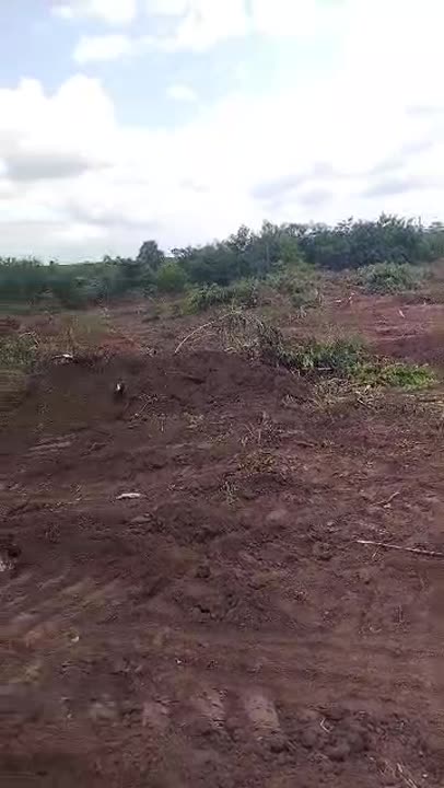 Terrain de 400 à 500 m² à vendre à Yamoussoukro INP-HB (Titre Foncier)