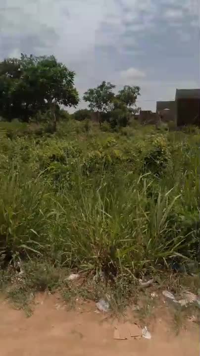 Terrain de 600 m² à vendre à N'dakro Belle Cité