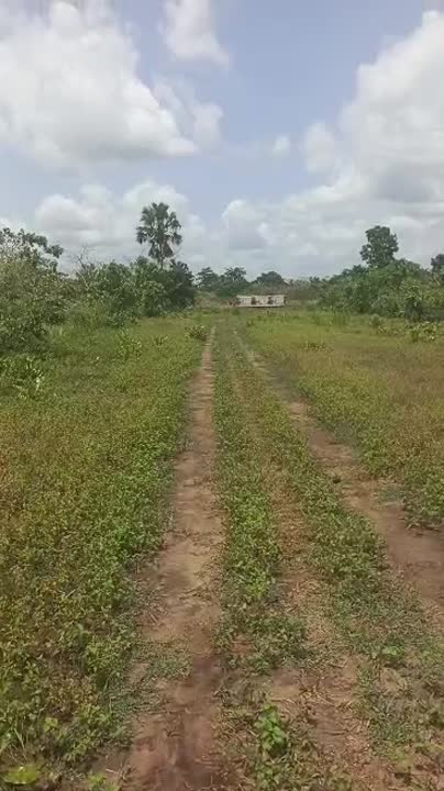 Terrain de 600 m² à vendre à N'Denou (ACD global)