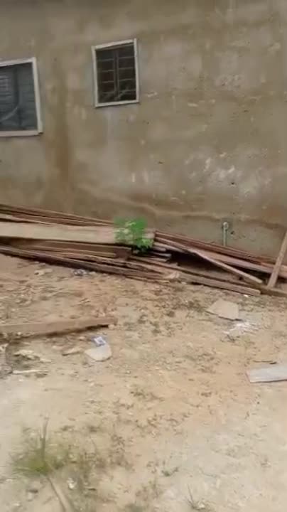 2 pièces avec deux douches à louer à Ebenezer