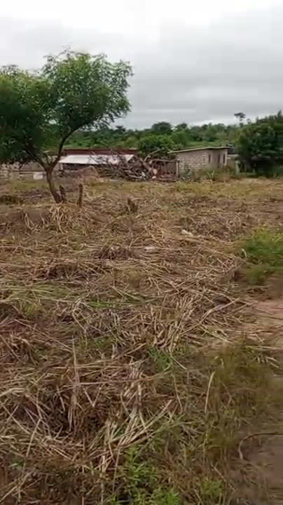 Terrain à vendre à Guiglo 2 — Yamoussoukro