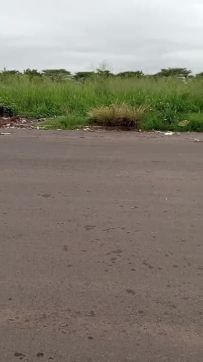 Terrain de 2 hectares à vendre à Yamoussoukro (ACD disponible)