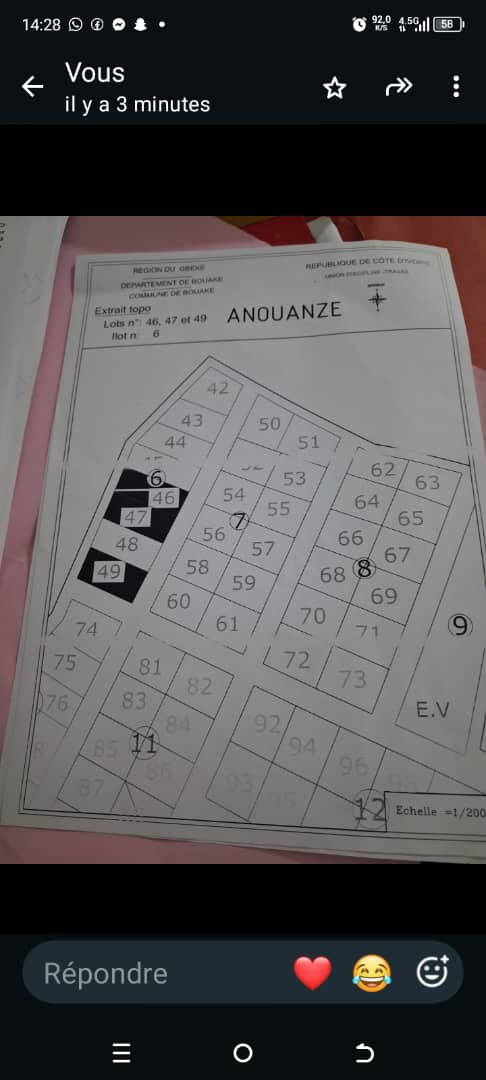3 terrains collés à vendre à Kokonekro (attestation villageoise)