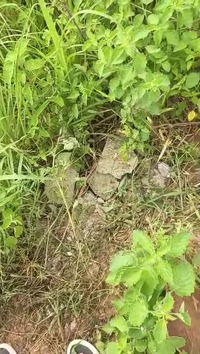 Terrain de 600 m² à vendre à Yamoussoukro Belleville
