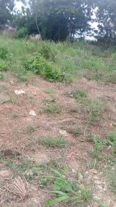 Terrain de 600 m² à vendre à Yamoussoukro (ACD disponible)